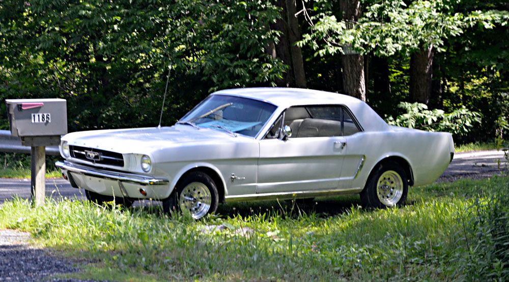 Mustang_DSC7746_zps44f8ebaf.jpg