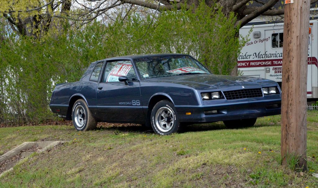 84%20montecarlo%20SS%2084k%20_DSC2103_zp