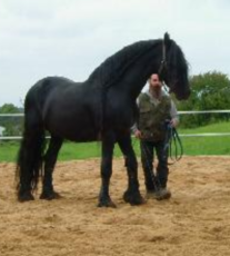 Afbeelding