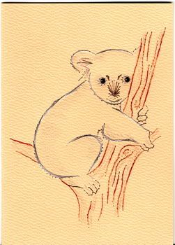 Koala.jpg picture by 1Tini1