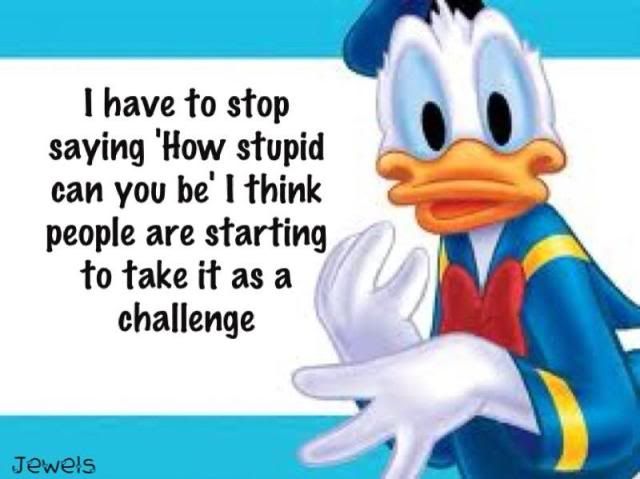 stupid.jpg