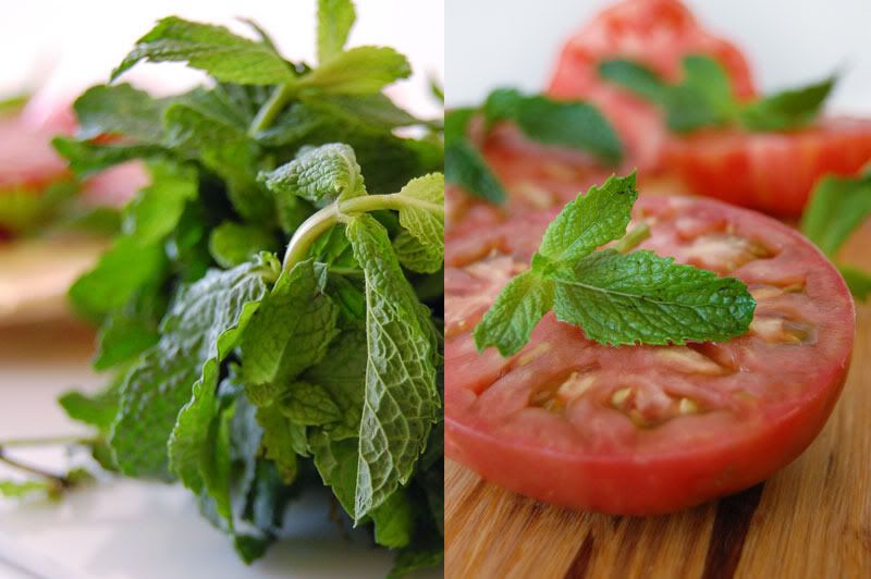 Vegetable Juice Recipe: Golden Beet, Carrot, Tomato, Cucumber, Mint, Anaheim Pepper