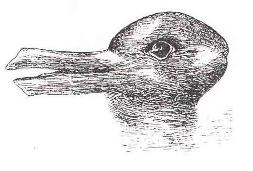 http://i219.photobucket.com/albums/cc153/sickedpoole/Duck-Rabbit_illusion.jpg