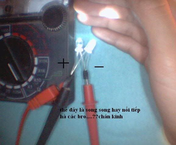 Posted Image