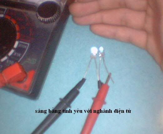 Posted Image