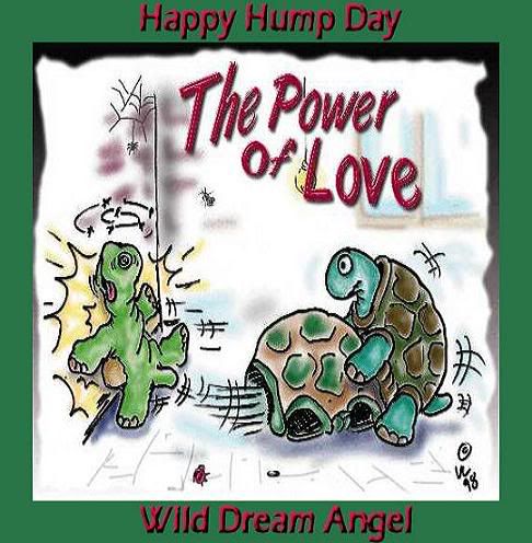 hump day love photo: Turtles The Power of Love humpday1.jpg