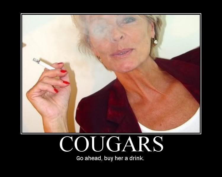 Cougar Pictures, Images and Photos
