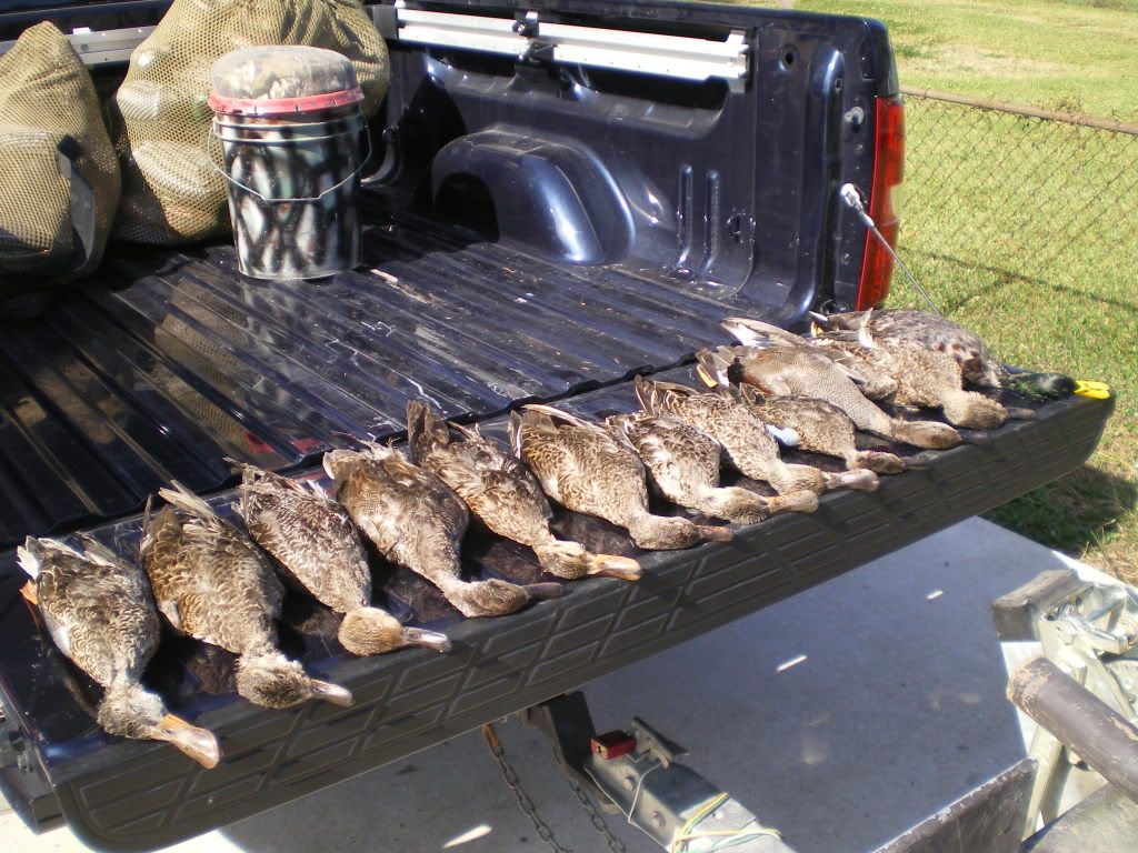 PointeauxChenes WMA Duck Hunting Forum