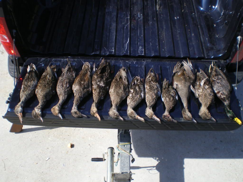 PointeauxChenes WMA Duck Hunting Forum