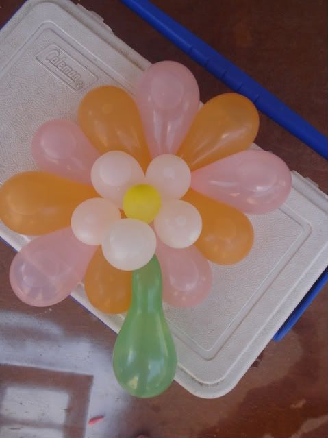 Waterballoon Flower
