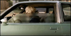 1273722379484-1.gif
