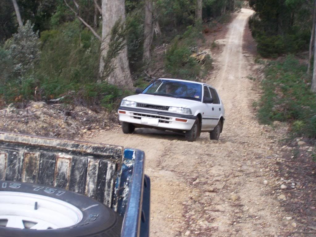Rolla004a.jpg