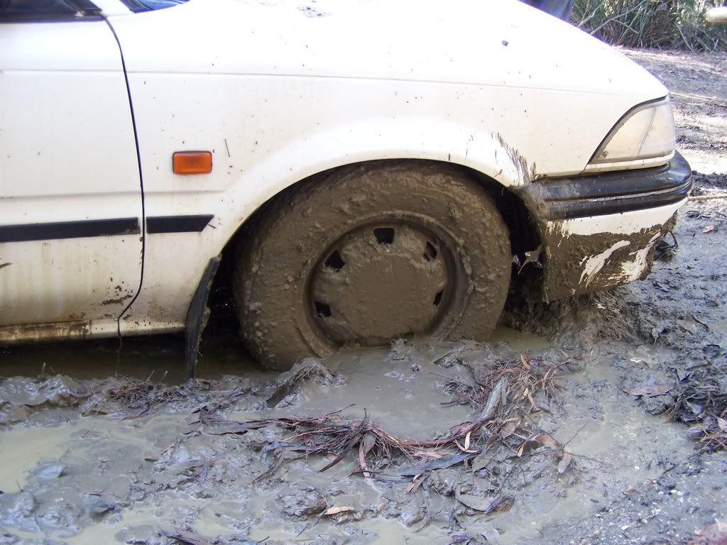 Rolla050.jpg