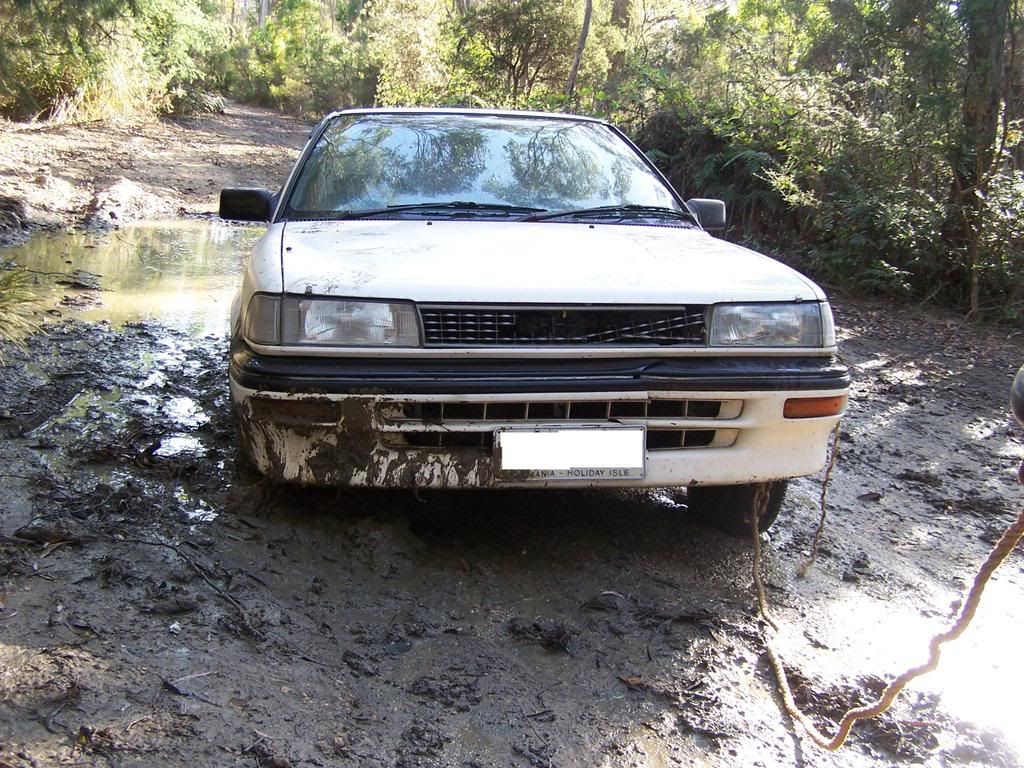 Rolla052a.jpg