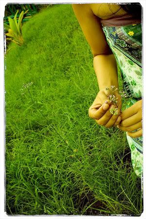 The image “http://i219.photobucket.com/albums/cc192/deLUXEx3x/flower.jpg” cannot be displayed, because it contains errors.