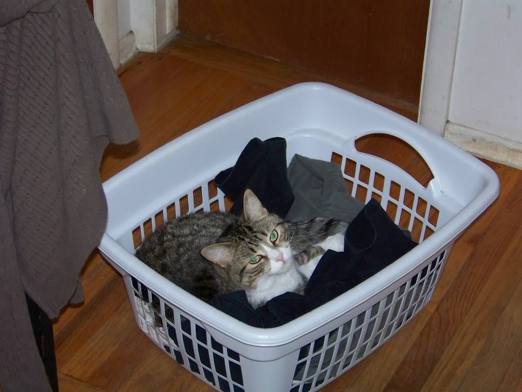 Received my new Specialty Z exhaust ZCar Forum