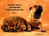 FUIDORMIR01-2.jpg image by jader737