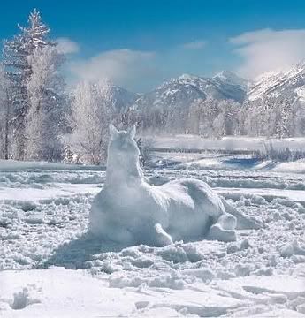snowhorseRayKeller.jpg image by goldieloxs