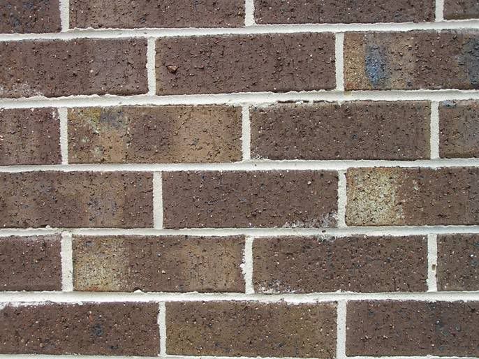 View topic What are these spots on our bricks? • Home Renovation