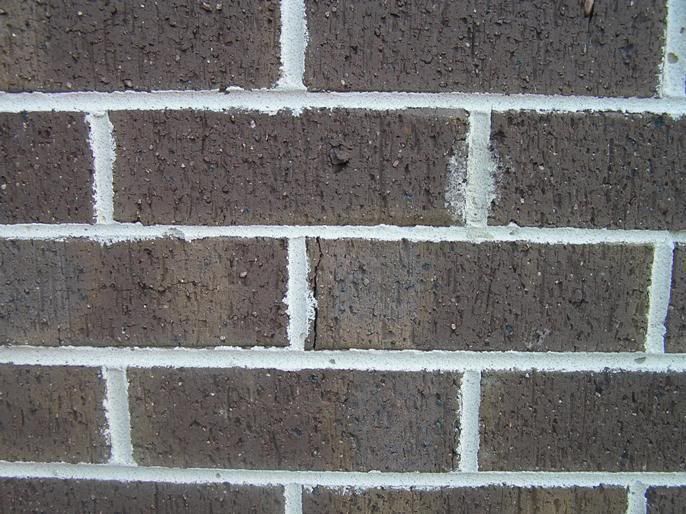 What are these spots on our bricks? • Home Renovation & Building Forum