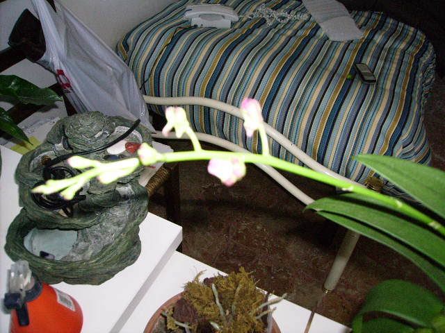 IMGP3156.jpg