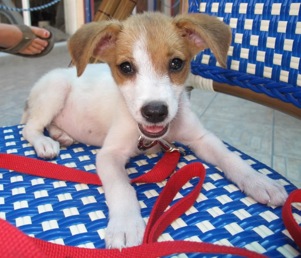 IMAGE: http://i219.photobucket.com/albums/cc230/peterbj7/IMG_0636sm.jpg