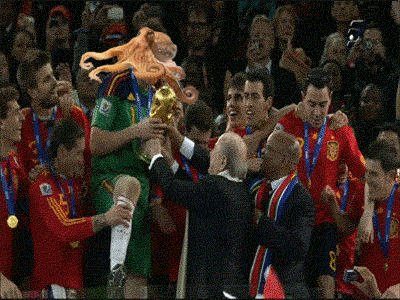 GifPulpoPaul.gif