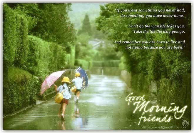 good morning and good day Pictures, Images and Photos