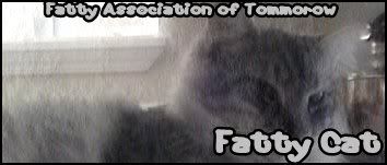 FattyCat.jpg