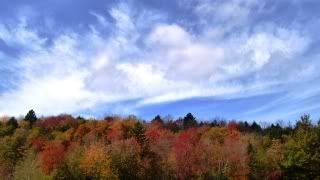 Fall colors in Berkshires - early Oct 2010