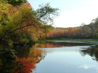 Connecticut - mid Oct 2010