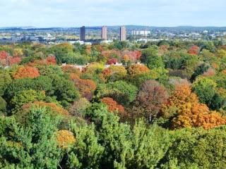 Mt Auburn, 22 Oct 2010