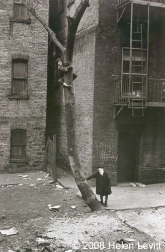 Helen Levitt Photo