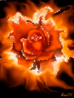  photo burning-rose-gif-3_zpsxfmpmtty.gif