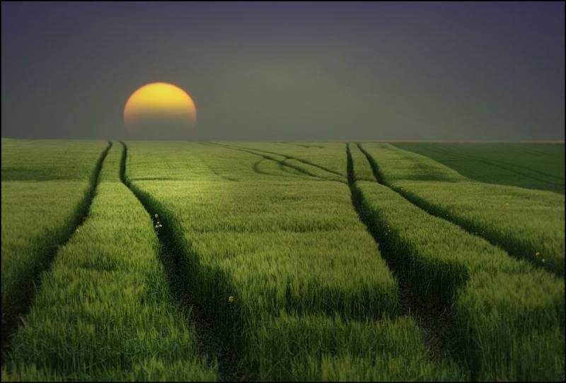 manzara Pictures, Images and Photos