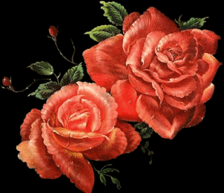 orangeroses3222222.gif picture by Lilith_RJ1