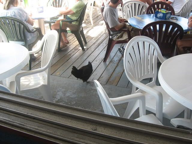 chickeninrestaurantinGrandCayman.jpg