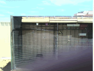 Birdshower3.gif