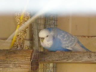 Picture060.jpg