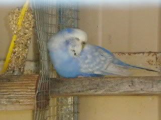 Picture062.jpg