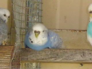 Picture066.jpg