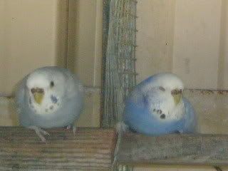 Picture068.jpg