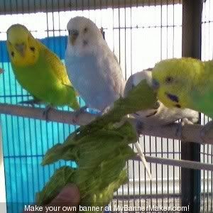 Theboysbanner.jpg