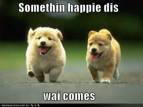 cute-puppy-pictures-something-happy.jpg