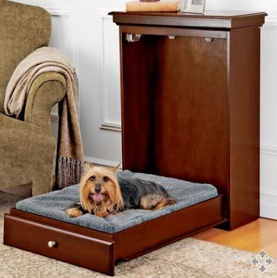    Dogs on Murphy Bed Frame For Pets