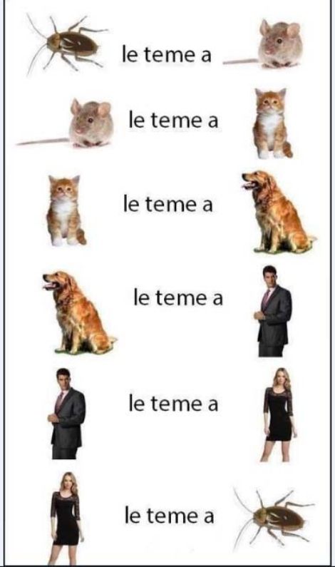  photo 2fa75205-276c-4393-9c6c-ee9a6bb3eef0_zps308065bf.jpg