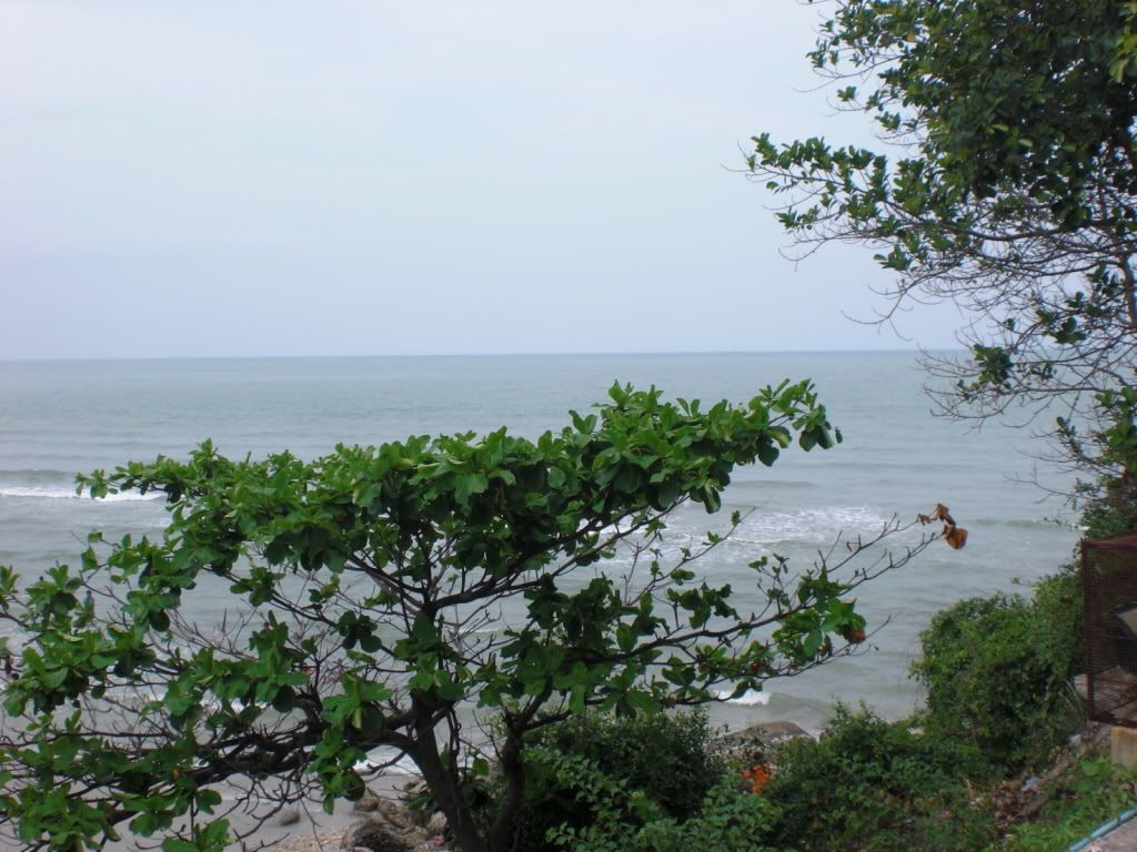CIMG0629.jpg