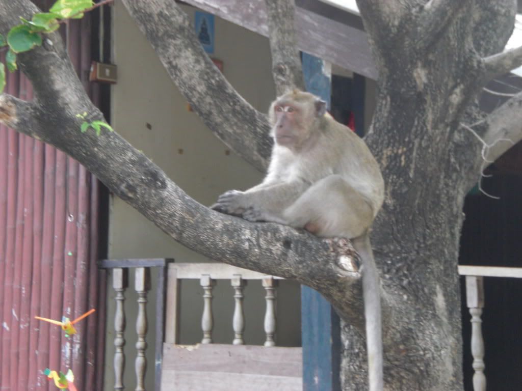 CIMG0641.jpg