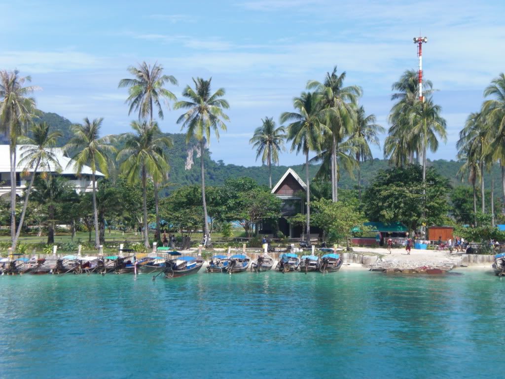 CIMG0917.jpg
