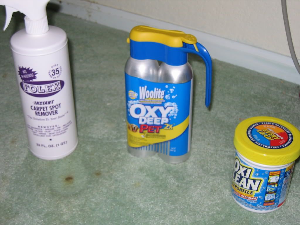 Chicky poop out of the carpet? BackYard Chickens Learn How to Raise